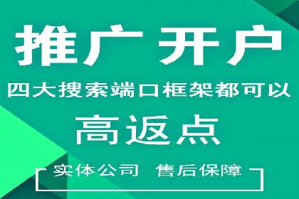 百度竞价SEM：成功案例解析与效果评估